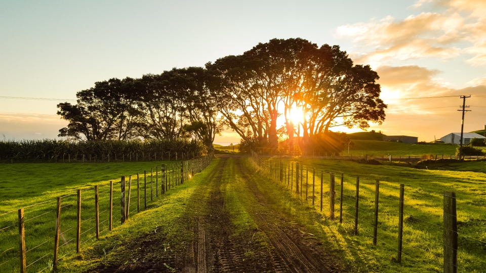 Elevating Rural Mental Health Care